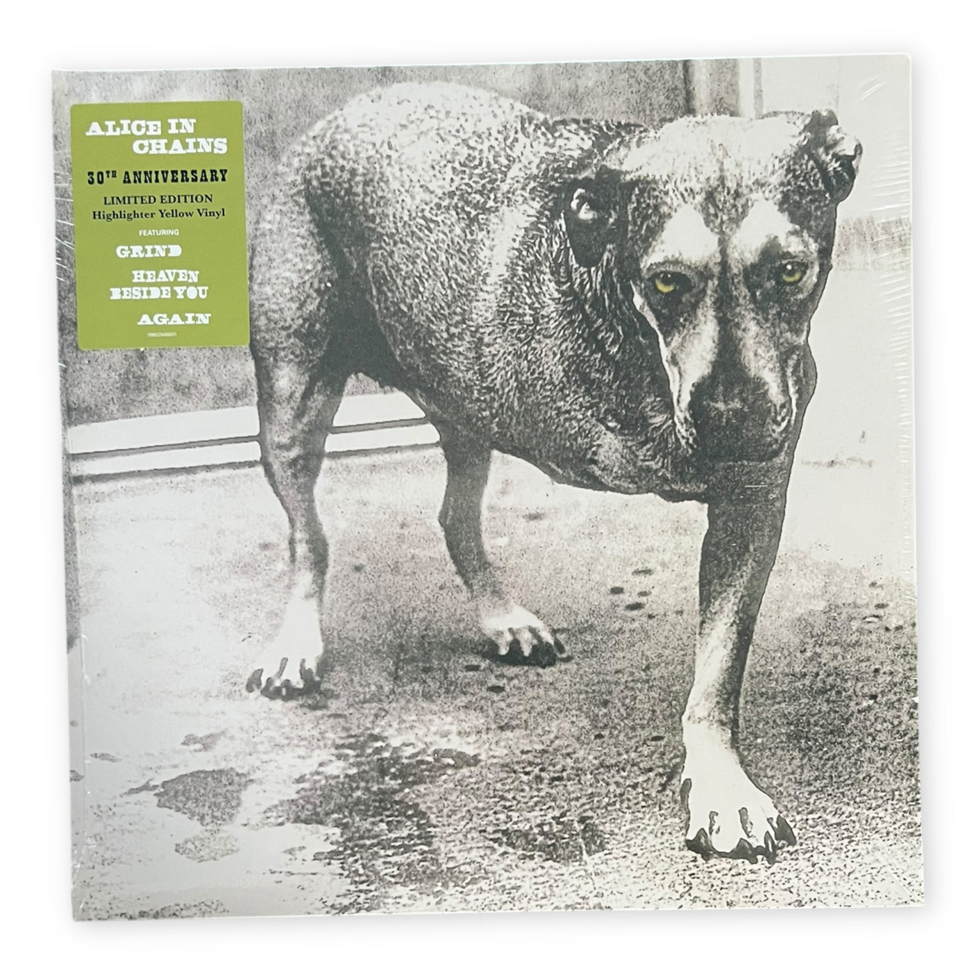 ALICE IN CHAINS - Alice In Chains (Self Titled) | Highlighter Yellow Vinyl | Brand New LP Vinyl Album