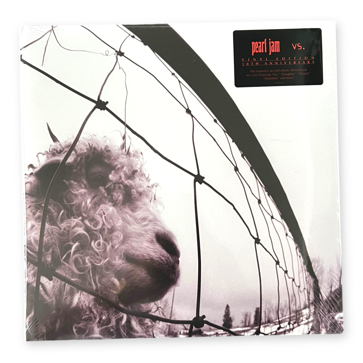 PEARL JAM - Vs. - LP VINYL - 30th ANNIVERSARY EDITION - 2 x 45 RPM - BRAND NEW