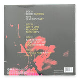 FOO FIGHTERS - Wasting Light (180gm) | 2 x LP 45 RPM | Brand New LP Vinyl Album